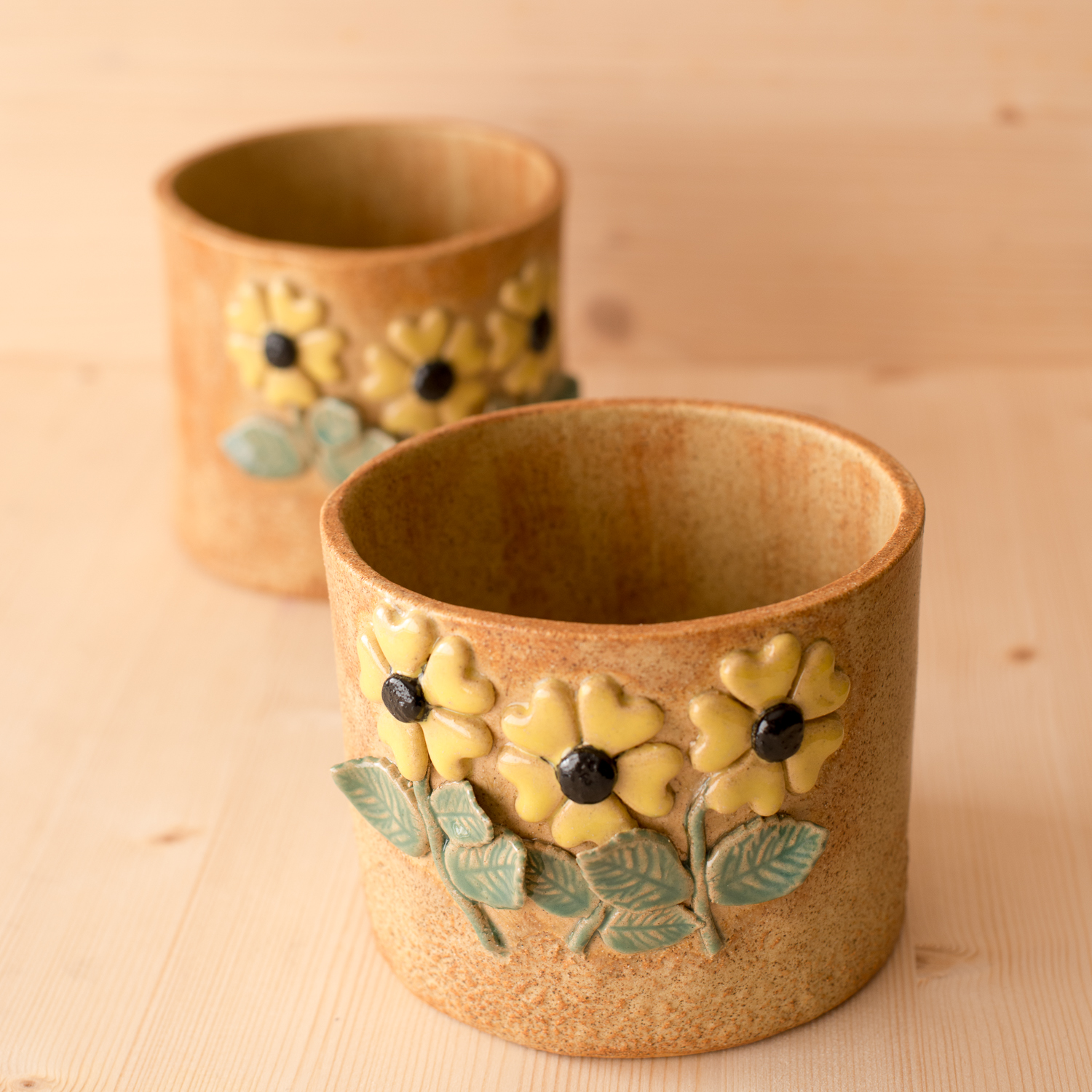 ST Pottery Plant Pot Set